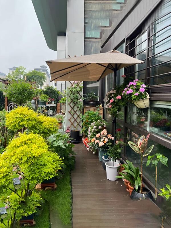 Shixun Outdoor Patio Umbrella