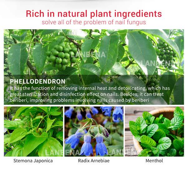 Buy LANBENA Nail Care Gel Fungal Nail Treatment Remove Onychomycosis