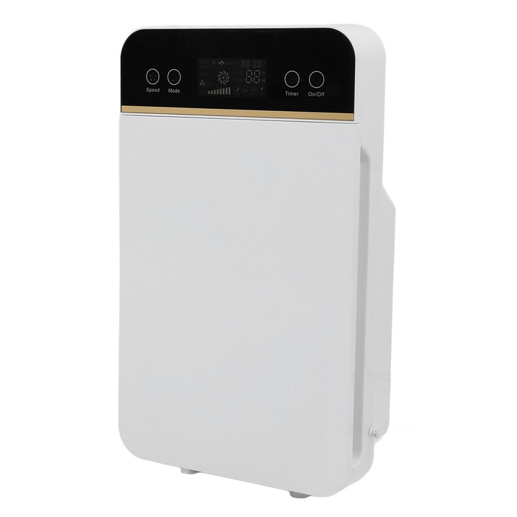 Negative Ion Air Purifier Quiet Anion Air Cleaner with Touch Screen Sleeping Mode for Hair Dust Pollen Removal
