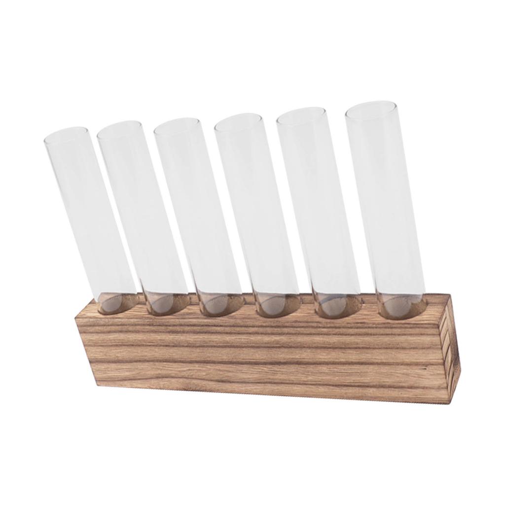 Glass Plant Propagation Station Plant Propagation Tubes Desktop Plant Terrarium With Wooden Stand