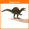 Kinder Dinosaurier Figur Plastik Fossil Modell Für Pädagogische Wissenschaft Klassenzimmer Dekoration