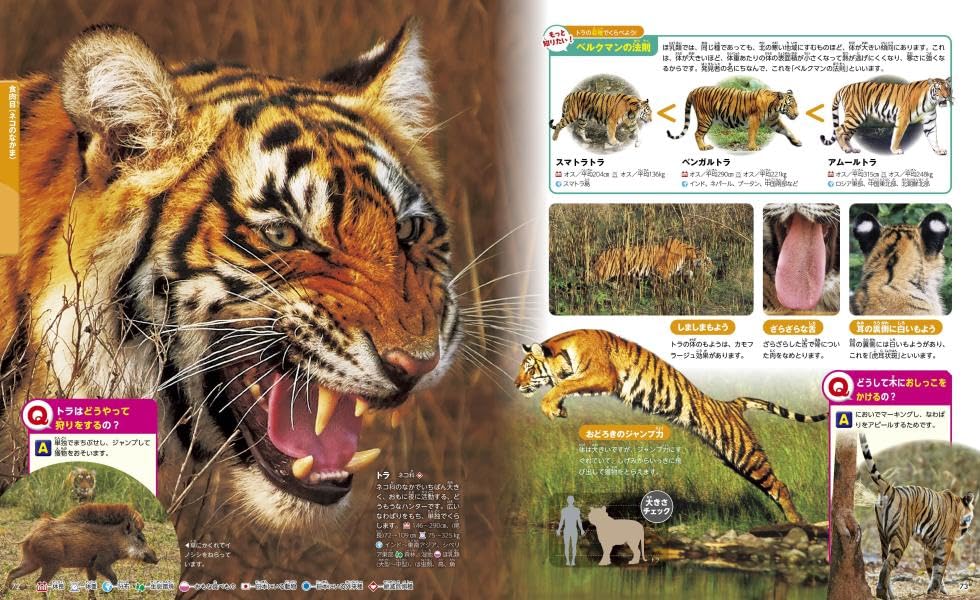 Animals, New Edition, Second Edition (Kodansha's Moving Picture Book MOVE)