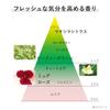 KANEBO Cream Day II Morning 40g SPF30 PA+++ Quasi-drug Moisture Dryness Firmness Radiance UV Care Makeup Retention Gift