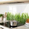 Glass Decorative Board with Graphics for Serving Snacks Grass 80x52 Cm