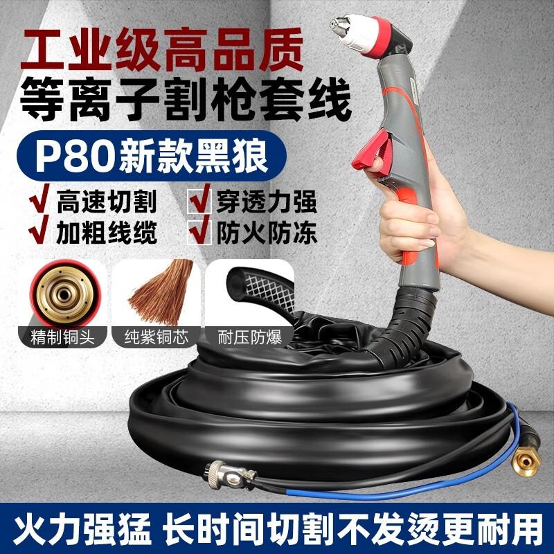 

Plure Industrial P80 Cutting Torch CN plug (adapter included)