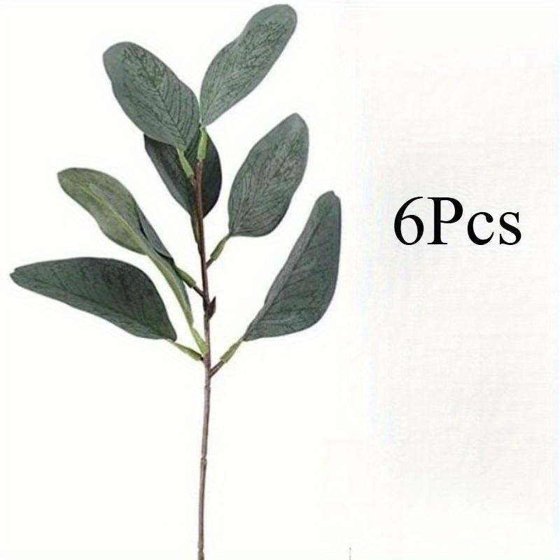 6Pcs Simulation Short Branch Eucalyptus With Fruit Eucalyptus Leaf Decoration Cuttings