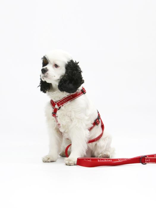 

KINIKINI ОРИГІНАЛЬНИЙ HARNESS З ЛОГОТИПОМ KINI-ЧЕРВОНИЙ L