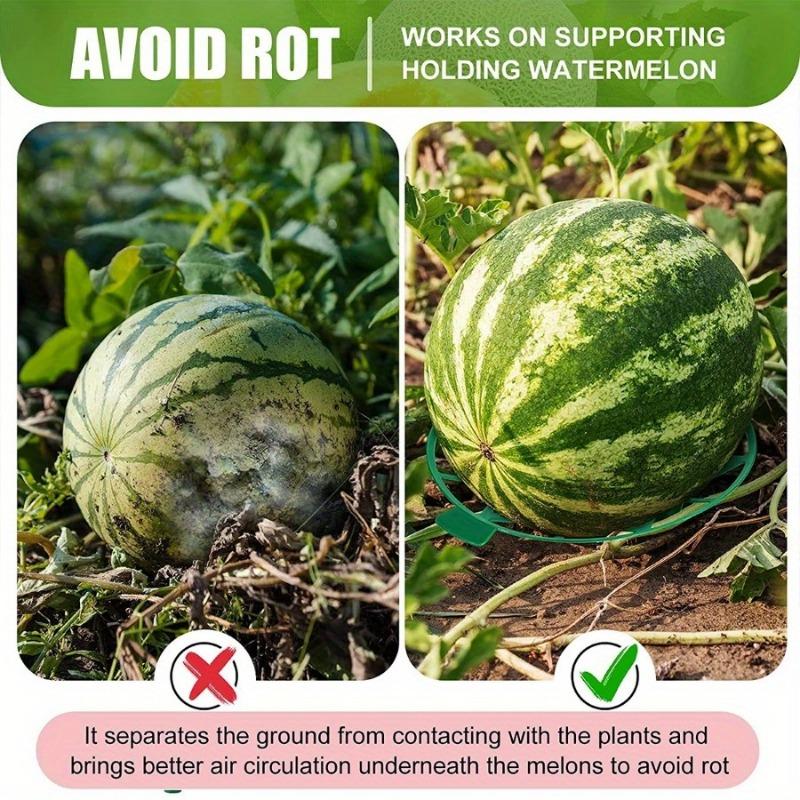 10 STÜCKE Melonenwiege Kürbisstütze Erdbeerstützen Halter Set Schützt Wassermelonen vor Bodenfäule Hält bis zu 8 lbs