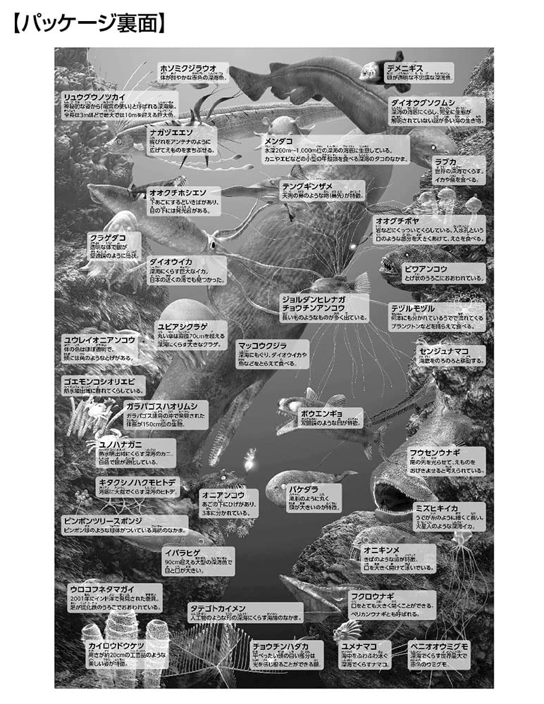 in Beverly 150 Large Jigsaw Learn Deep Sea x 38 [Made Japan] Puzzle Creatures! (26 cm) L74-191