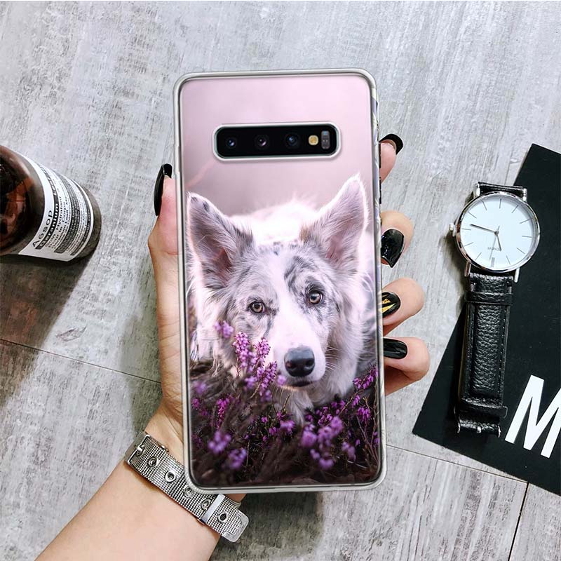 Border Collie Clever Phone Case For Samsung Galaxy S26 S25 Edge S24 S23 FE S22 Ultra S21 Plus S20 + Fundas Cover Coque Galaxy S2