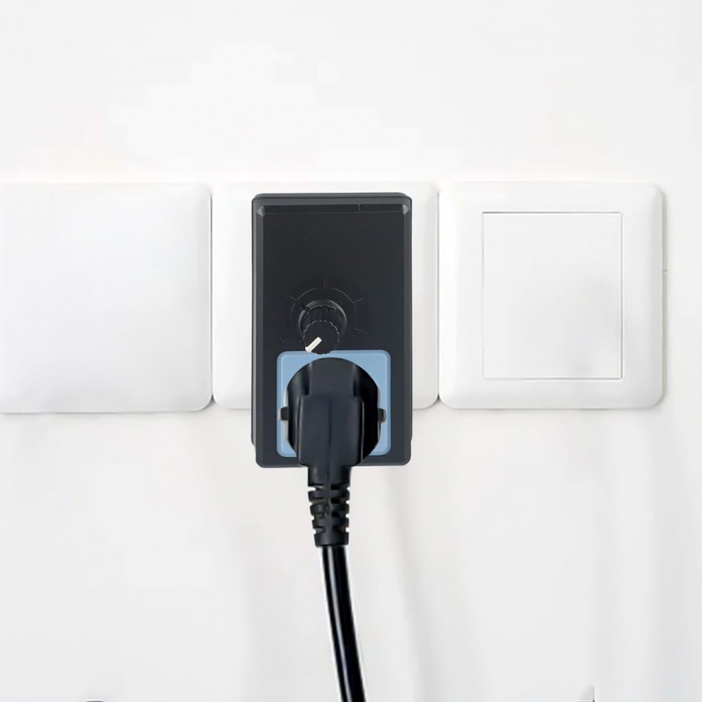 AC Motor Speed Regulator with Electric Voltage Switch for 220V Output Control