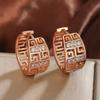 Luxury Hollow Geometric Great Wall Textured Earrings