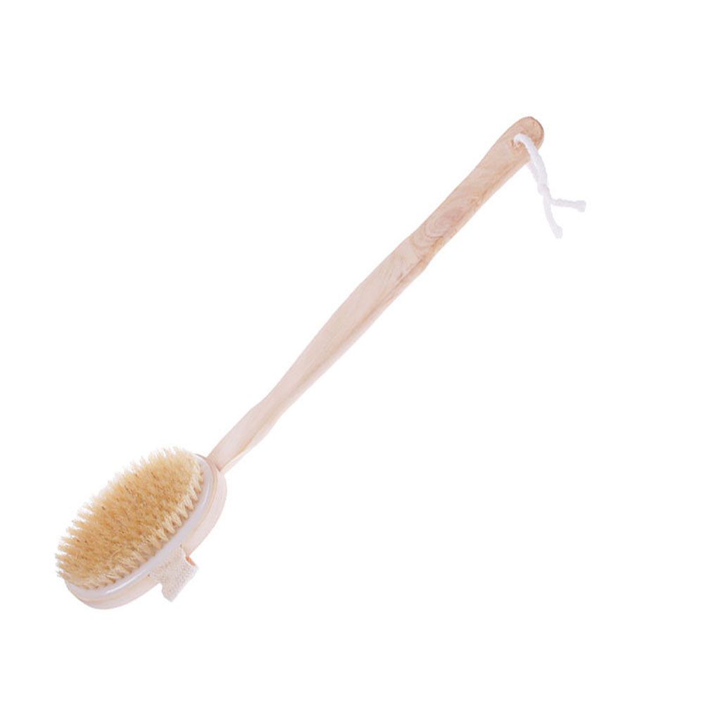 Handle Back Spa Tool Body Shower Bathroom Accessories SPA Scrubber Massage Shower Brush Bath Brush