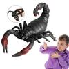 Decompression Toy Stress Relieve Stretchy Multi-purpose Sensory Fidget Scorpion Squeeze Toy