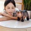 Hippo Plush Soft Hippo Stuffed Animal Pillow Pygmy Hippo Plush Doll Plushies Stuffed Animal Pillow For Kids Boys Girls Room Home