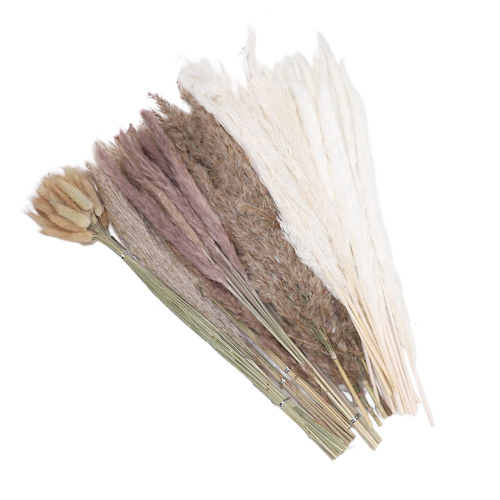 

110 шт. сушеная пампасная трава декор деревенский букет из сухоцветов тростника для свадьбы