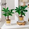 Modern Home Office Decor Self Watering Planter for Indoor Plants Transparent Hydroponic Planter Decorative Plant Growing Container Flowerpot