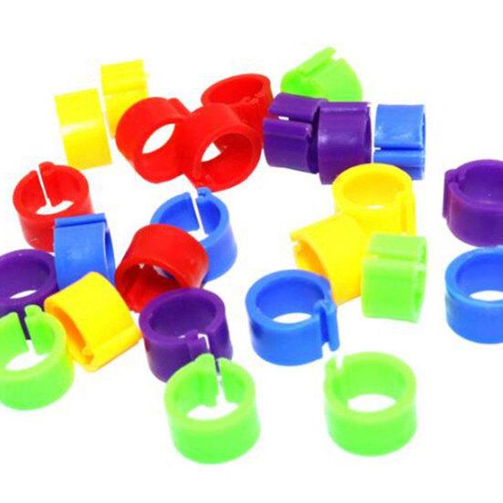 100Pcs Birds Leg Clips Harmless Extensible Plastic Mix Color 8mm Pigeon Foot Ring for Pet
