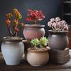 Coarse Pottery Succulent Plant Pot with Creative Picture Book Style for Floor-Standing Silk Flowers