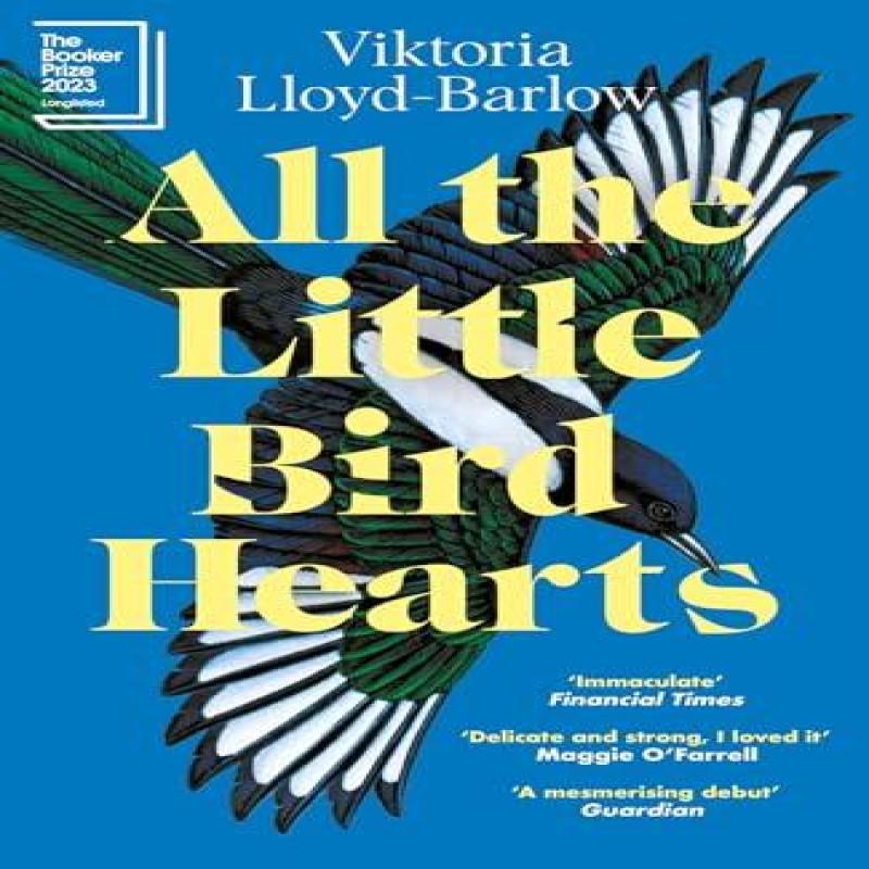 All the Little BirdHearts by Viktoria LloydBarlow Paperback Book 9781472288042