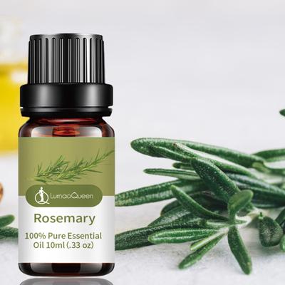 Olio essenziale di rosmarino da 10 ml Olio da massaggio singolo idratante al rosmarino per la bellezza