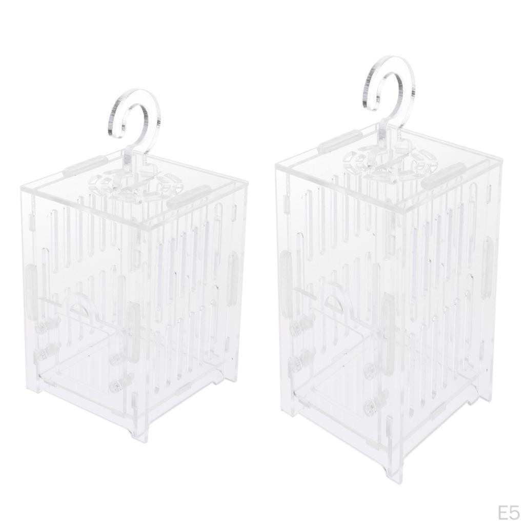 Spider Insect Cricket Tank Vivarium Cage Box Clear Acrylic Terrarium