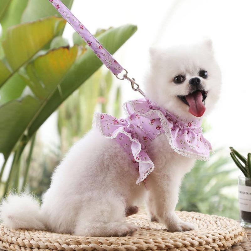 Dog Dress Harness Leash Set for Small Dogs Cats Daisy Floral Girl Dog Cute Puppy Princess Clothes Spring Summer Breathable