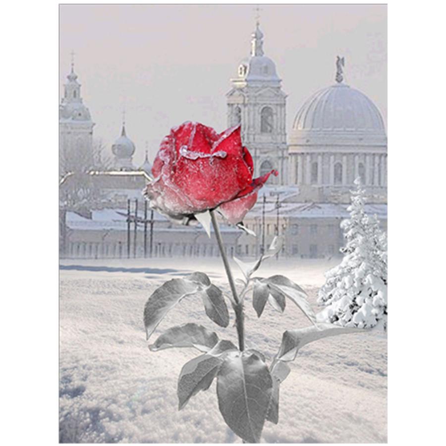 

Полный 5D Diy Алмазная картина Различные цветы Мозаика Вышивка Крестом Домашний декор Подарок ручной работы 30x40cm