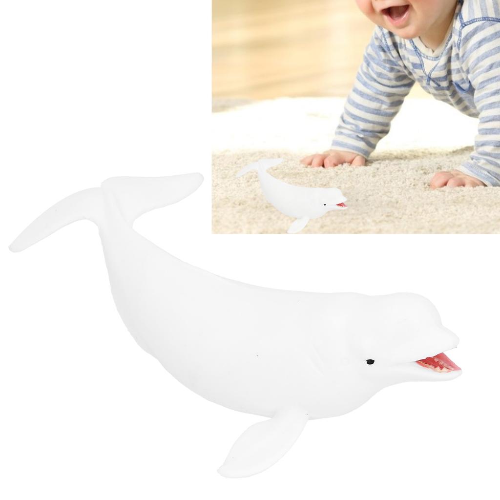Figurines Réalistes d'Animaux Marins Baleine Blanche Modèle Figurines Éducatives d'Animaux Marins Mignons
