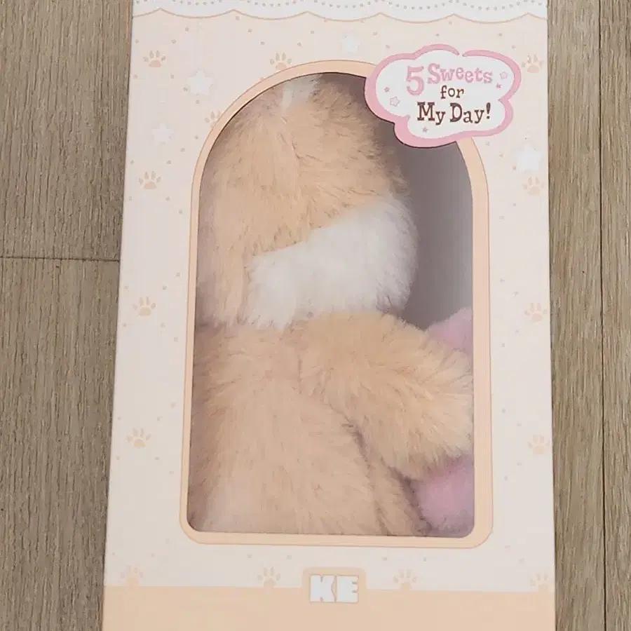 DAY6 Voice Keyring sealed) - Ke version
