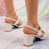 Women's 2026 Summer Low-cut Chunky Heel Pointed Toe Roman Style Closed-toe High-heeled Sandals