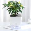 Self Watering Plant Pot with Drainage Holes High Strength Reusable