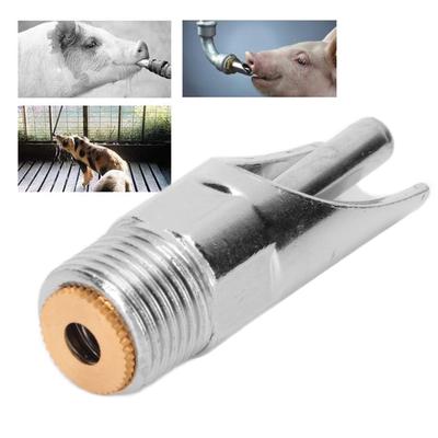 10 piezas Bebedero Automático de Acero Inoxidable para Mamas Alimentador de Agua para Mantener Accesorios