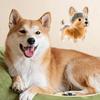 1/6Pcs Clear Pet Hair Memorial Keychain Dog Furs Collector Keepsakes Plastic Storage Box For Dog Cats Lover Gift