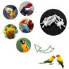 10 Pcs Bird Food Holder Feeding Clips Parrot Toy for Small Size Bird Cage Mount Multifunctional Treats Fruit Holder