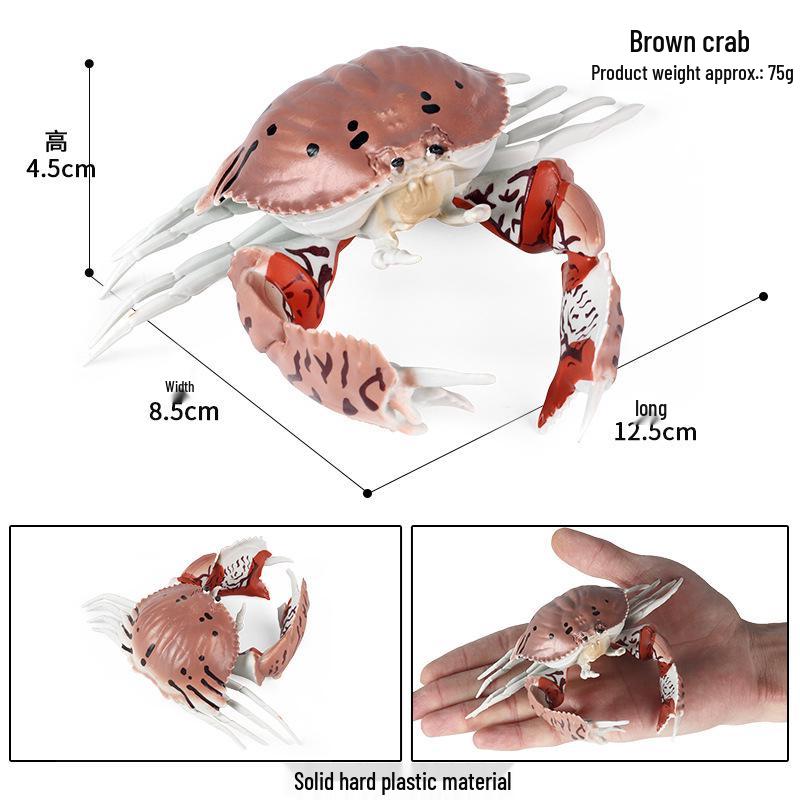 Children s Educational Crab Model Toy - Ocean Animal Simulation