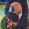 Capybara Sleepy Plush Hug Pillow - Birthday Gift for Girlfriend