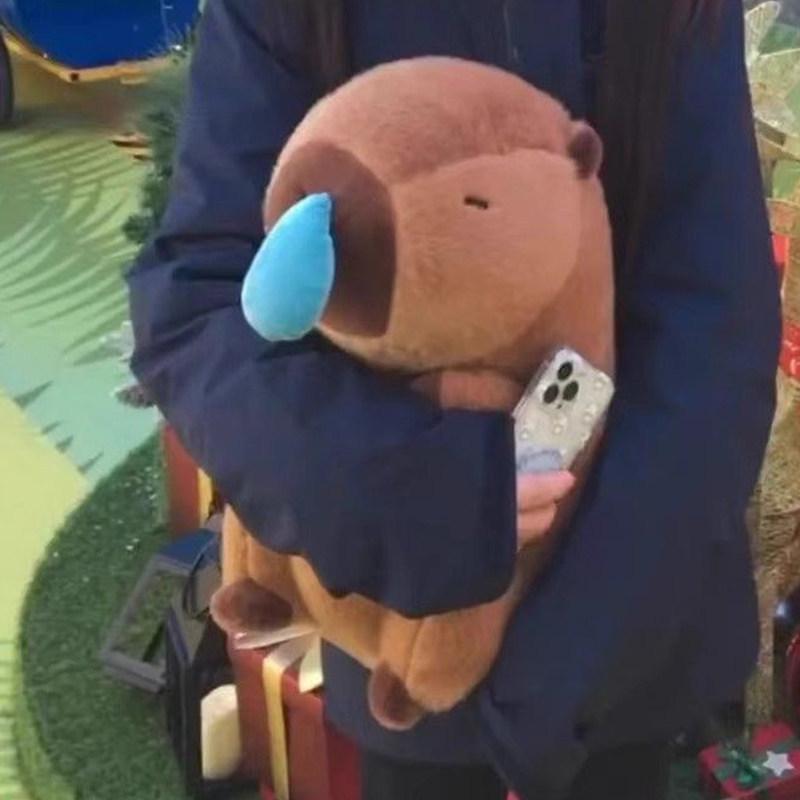 Capybara Sleepy Plush Hug Pillow - Birthday Gift for Girlfriend