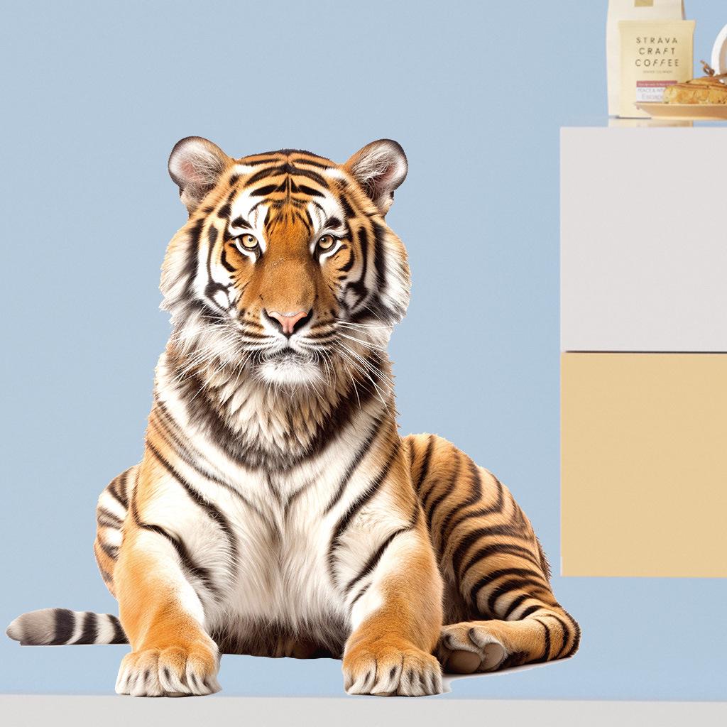 Removable Tiger Wall Sticker FC1077 - Waterproof & Oilproof