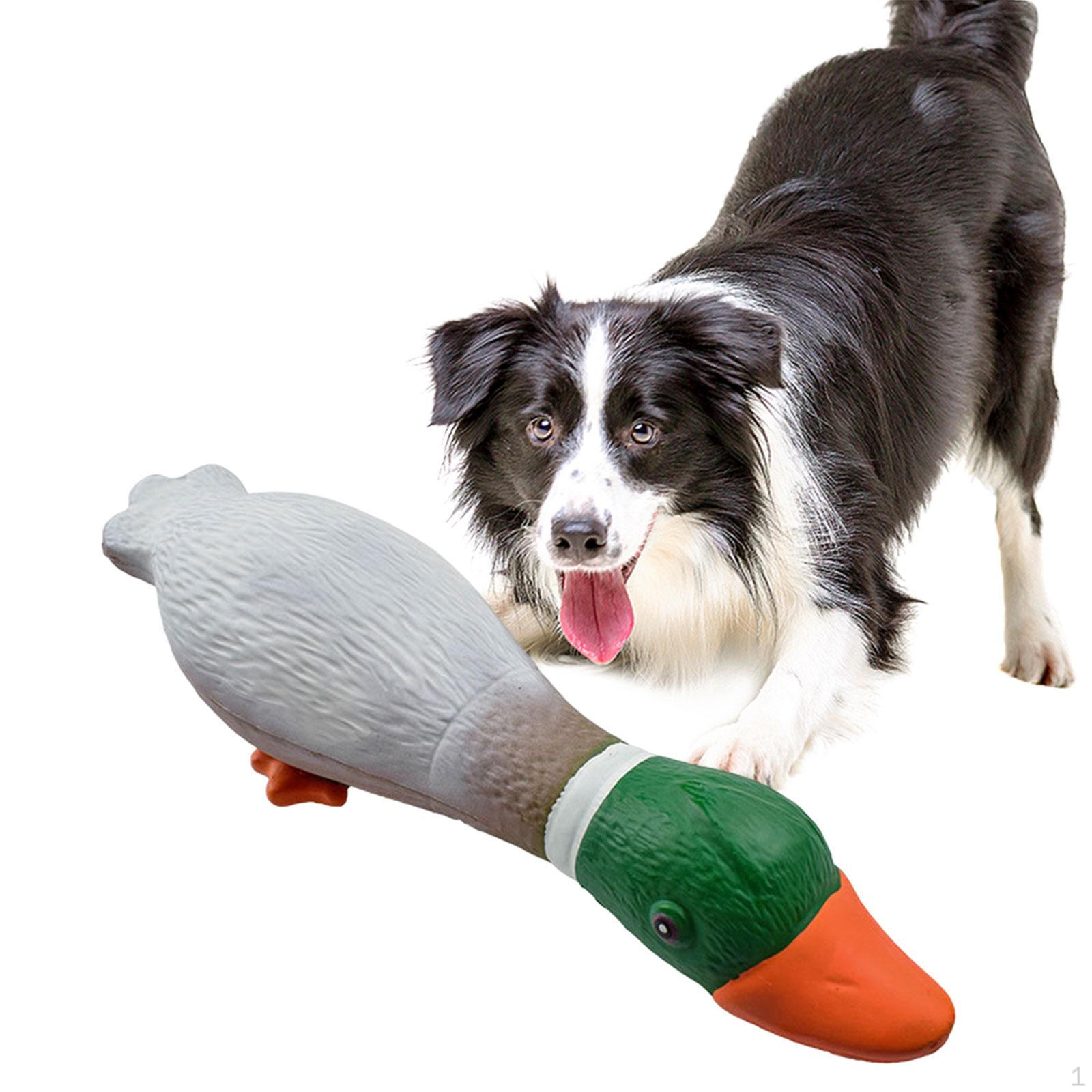 Mallard Duck Dog Toy Chew Puppy Enrichment Toys Indoor Outdoor Interactive Squeaky