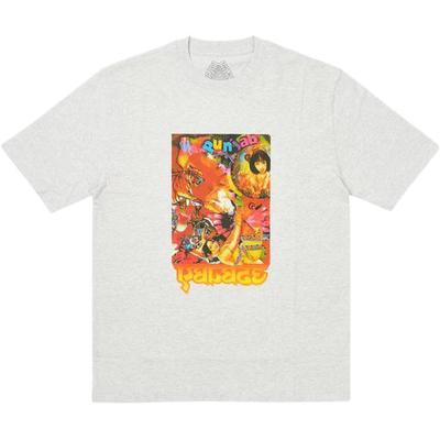 Palace Chila T-Shirt Grey Marl Unisex Tops P25TS172