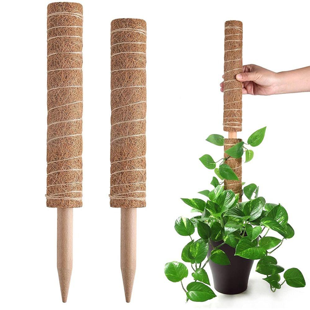 Sturdy Plant Support Stakes 30/40/50cm Coir Totem Poles Practical Moss Sticks Potted Plants