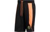 Sports Shorts Men's Black Moderate FH7726