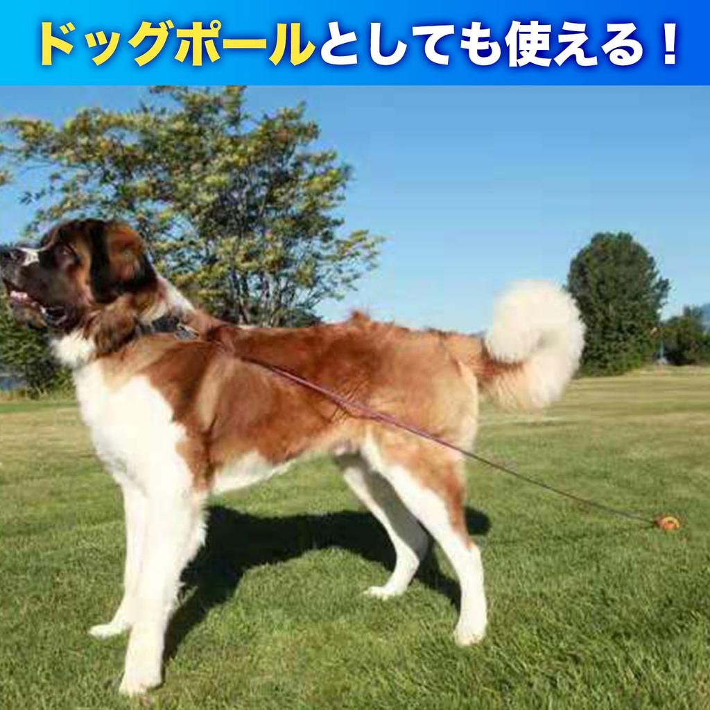 Sac Taske Screw Pegs, Dog Poles, Dog Leads for Outdoor Activities, Camping, Tents, and Beaches (Yellow, 10 Pieces)