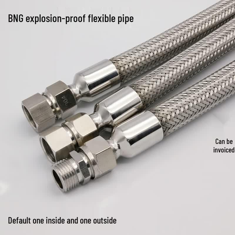 Dalan BNG304 Stainless Steel Explosion-proof Flexible Conduit DN20