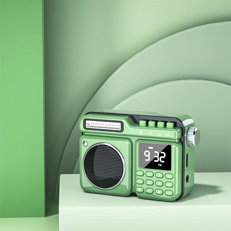 Newmine Retro Portable Bluetooth Speaker with FM Radio and Recorder