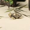 Mini Brass Cute Turtle Tea Pet Love Turtle Animal Room Decoration Copper Figurines Home & Garden Vintage Decoration