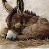 F26C Multifunctional Plush Cushion Cover Features Fun Donkey Pattern for Sofa Bed Decoration