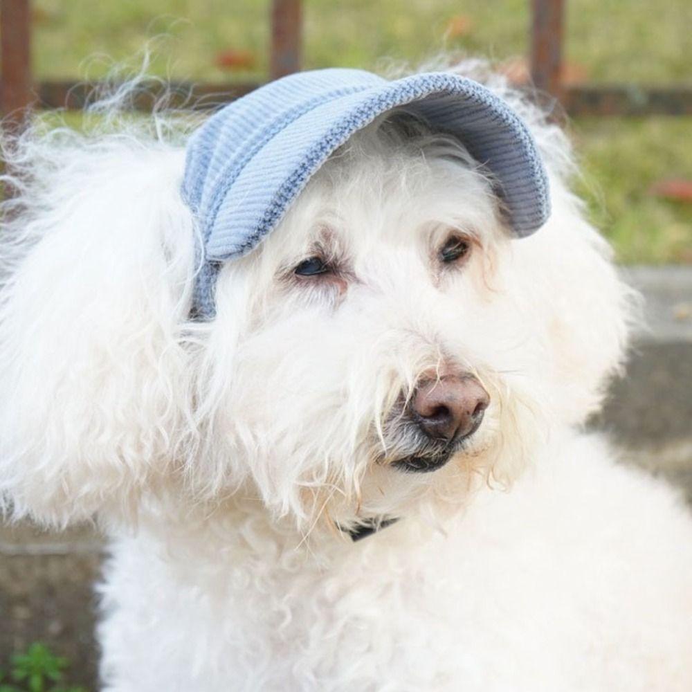 Adjustable Pet Dog Sunhat Stretch Chin Rope Dog Visor Hat Household Pet Baseball Cap Outdoor