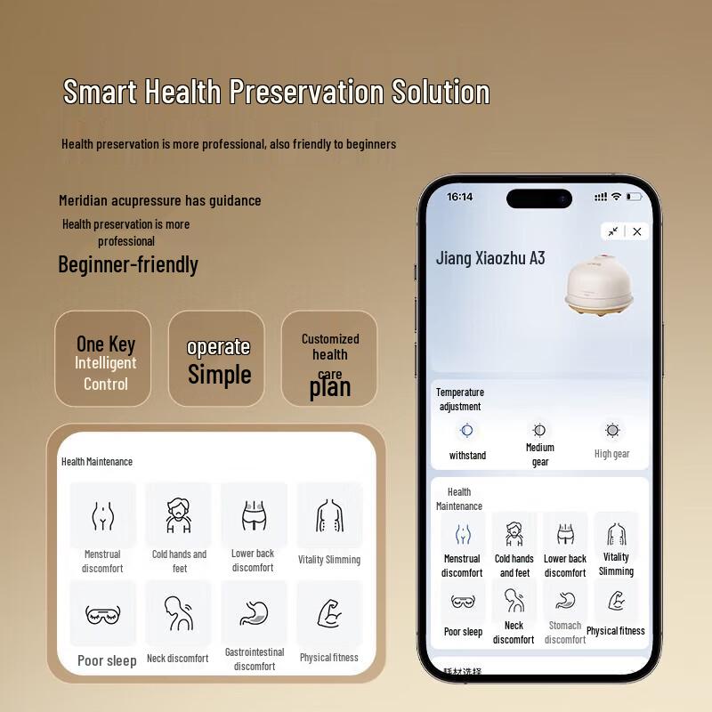 Breo A3 Smart Bian Stone & Moxibustion Massager